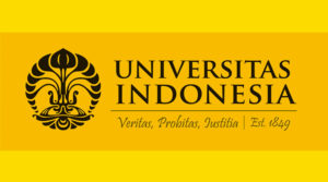 international university 